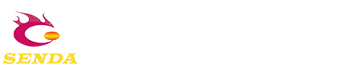 賽斯特