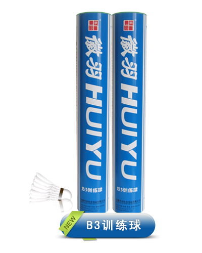 B3訓練球